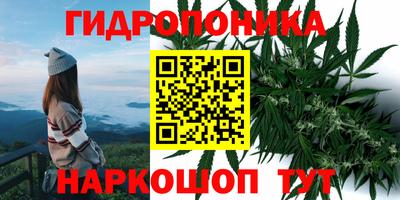 хмурый Шебекино