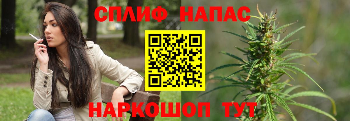 Курчалой  МАРИХУАНА Amnesia  Бошки Шишки план  Конопля AK-47  Вход с VPN 